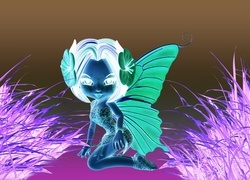 Negatyw