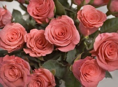 Oryginalny obrazek
