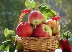 Oryginalny obrazek