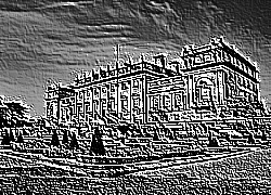 Skamielina