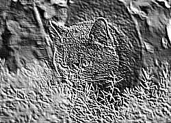 Skamielina