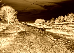 Sepia + Negatyw