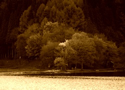 Sepia