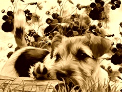 Sepia
