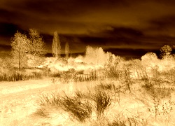 Sepia + Negatyw