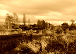 Sepia