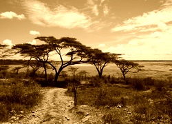 Sepia
