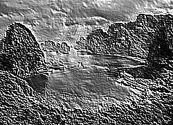 Skamielina