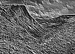 Skamielina