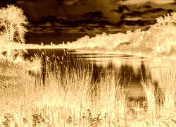 Sepia + Negatyw