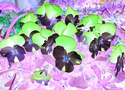 Negatyw