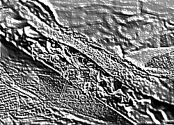 Skamielina