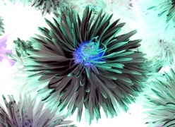 Negatyw