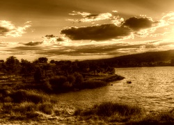 Sepia