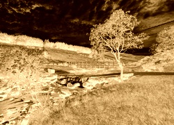 Sepia + Negatyw