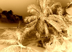 Sepia + Negatyw