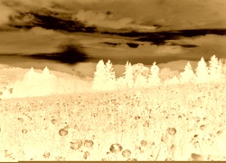 Sepia + Negatyw