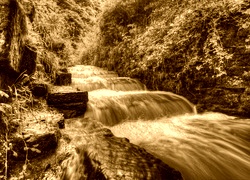 Sepia