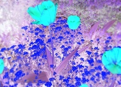 Negatyw