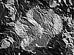 Skamielina