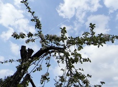 Oryginalny obrazek