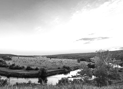 Szary + Sepia
