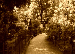 Sepia