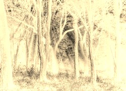 Sepia + Negatyw