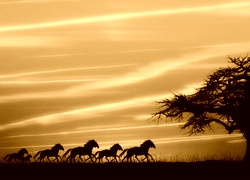 Sepia