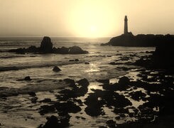 Szary + Sepia