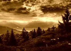 Sepia