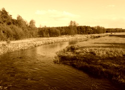 Sepia