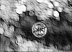 Skamielina