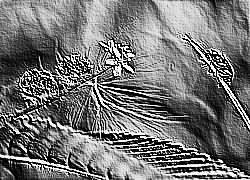 Skamielina