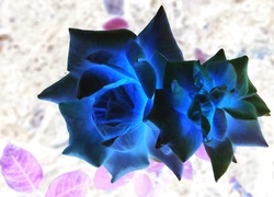 Negatyw