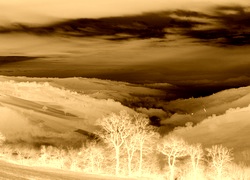 Sepia + Negatyw
