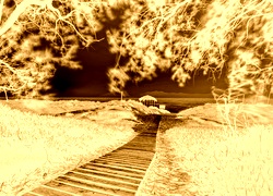 Sepia + Negatyw