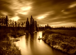 Sepia