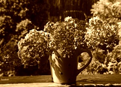 Sepia