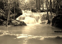 Szary + Sepia