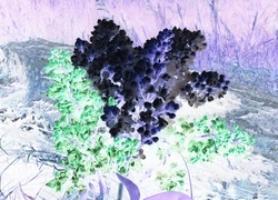 Negatyw