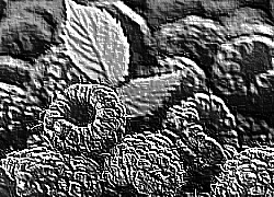 Skamielina
