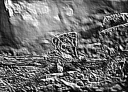 Skamielina
