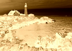 Sepia + Negatyw