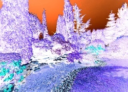 Negatyw