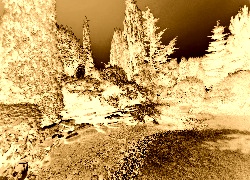 Sepia + Negatyw