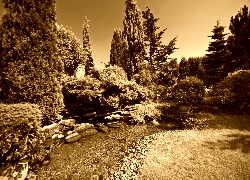 Sepia