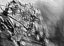 Skamielina