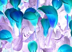 Negatyw