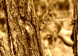 Sepia